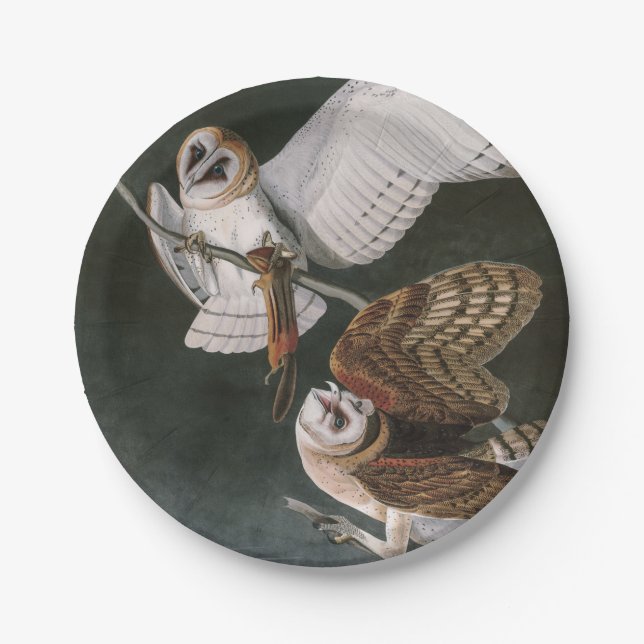 Barn Owls, the Birds of America John James Audubon Paper Plate (Front)
