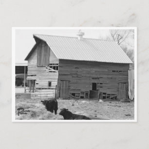 Barn postcard
