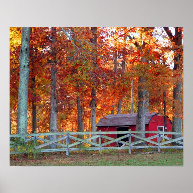 Barn Print (Front)