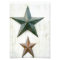 Barn Stars