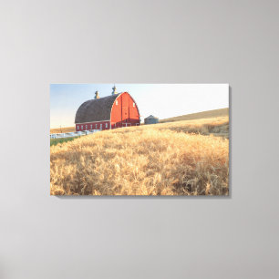Barn, summer wheat fields near Sprague, Eastern 1 Canvas Print