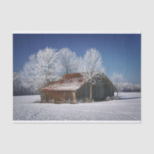 Barn Surrounded With Winter Trees  Tissue Paper