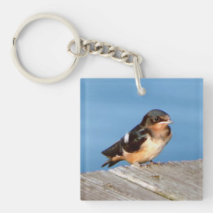 Barn Swallow acrylic key chian Ring