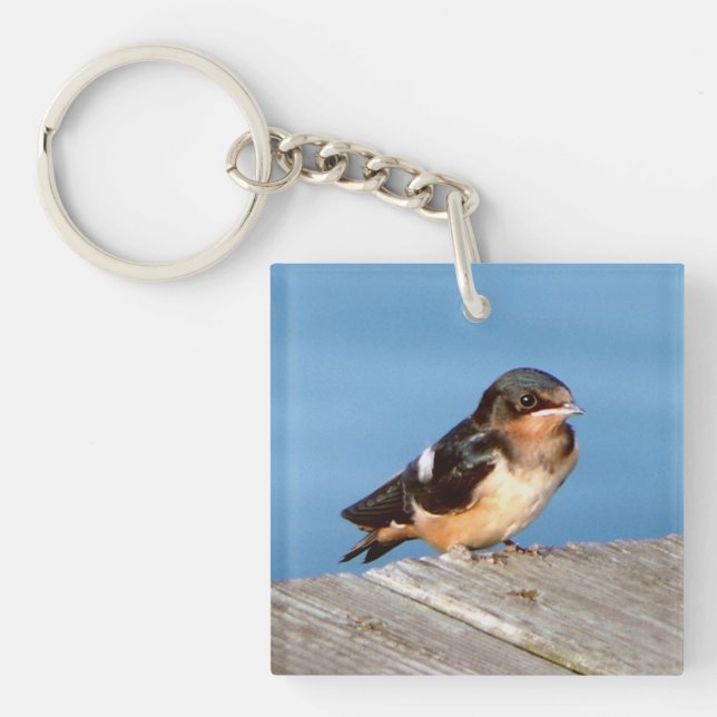 Barn Swallow acrylic key chian Ring (Front)