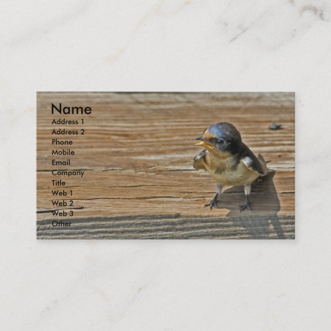 Barn Swallow Business Card (Front)