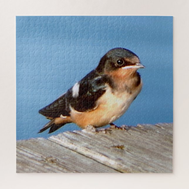 Barn Swallow jigsaw puzzle (Vertical)