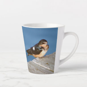 Barn Swallow latte mug