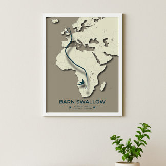 Barn Swallow Migration Map – Minimalist Vintage Poster