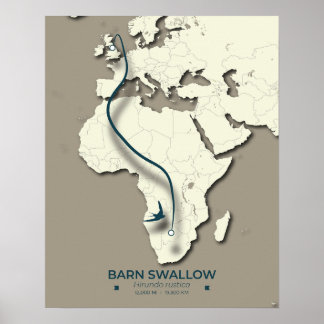 Barn Swallow Migration Map – Minimalist Vintage Poster