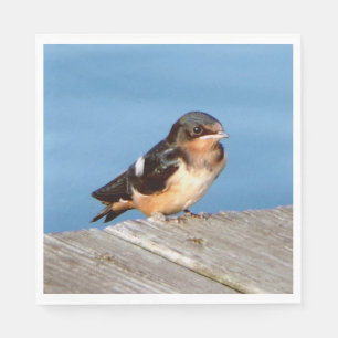Barn Swallow napkin
