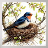 Barn Swallow Nesting on a Blossom-Covered Branch