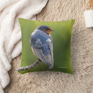 Barn Swallow on a Branch Cushion