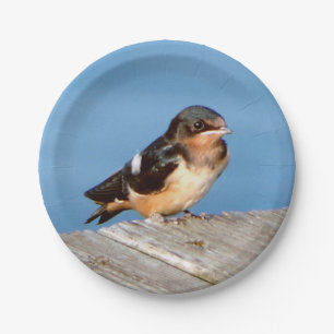 Barn Swallow paper plate
