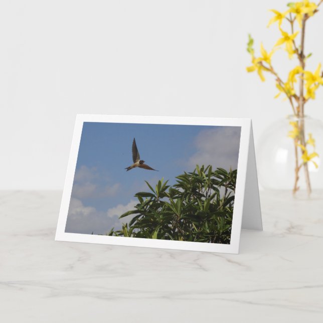 Barn Swallow Portrait Card (Yellow Flower)