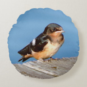 Barn Swallow round pillow