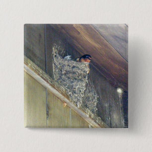 Barn Swallow Series 15 Cm Square Badge