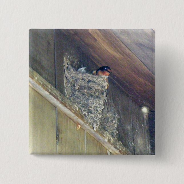 Barn Swallow Series 15 Cm Square Badge (Front)