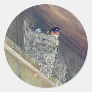 Barn Swallow Series Classic Round Sticker