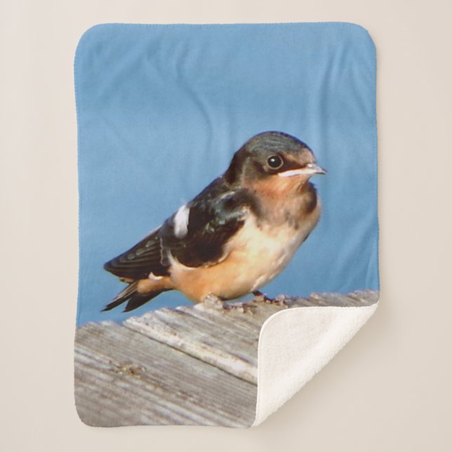 Barn Swallow sherpa blanket (Front)