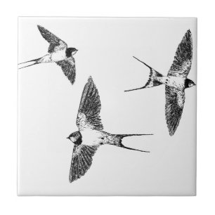 Barn swallows tile