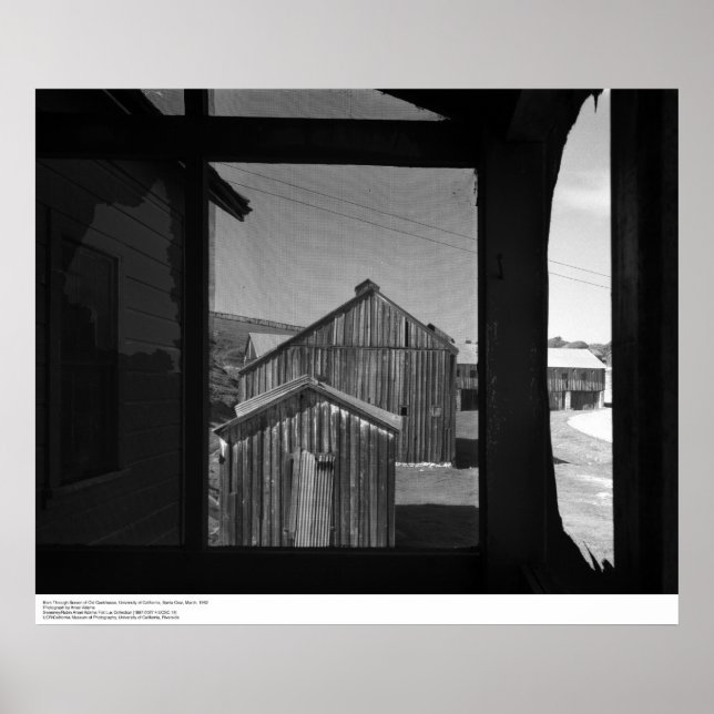Barn through Screen of Old Cookhouse, 1962 Poster (Front)