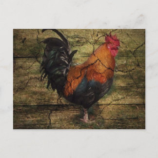 Barn Wood Farm Chicken french country rooster Postcard
