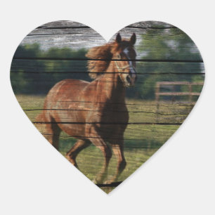 Barn Woodgrain Country Ranch Galloping Brown Horse Heart Sticker