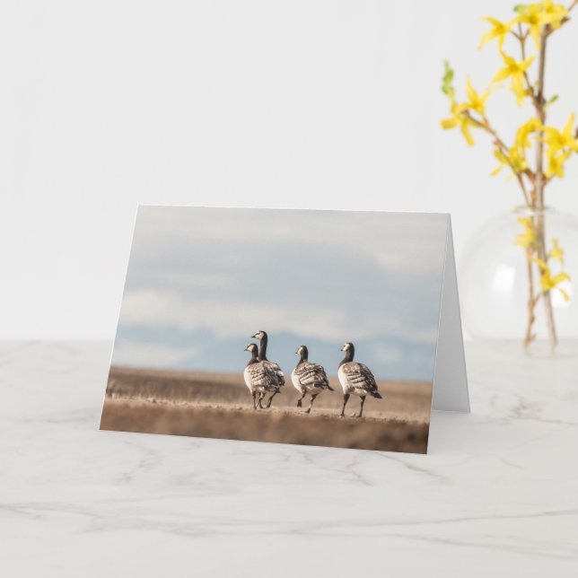 Barnacle Geese Nature Photo Card (Yellow Flower)