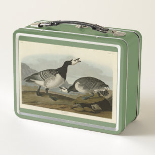 Barnacle Goose - from Audubon's Birds of America Metal Lunch Box