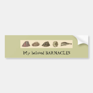 barnacle-slip, My beloved BARNACLES Bumper Sticker