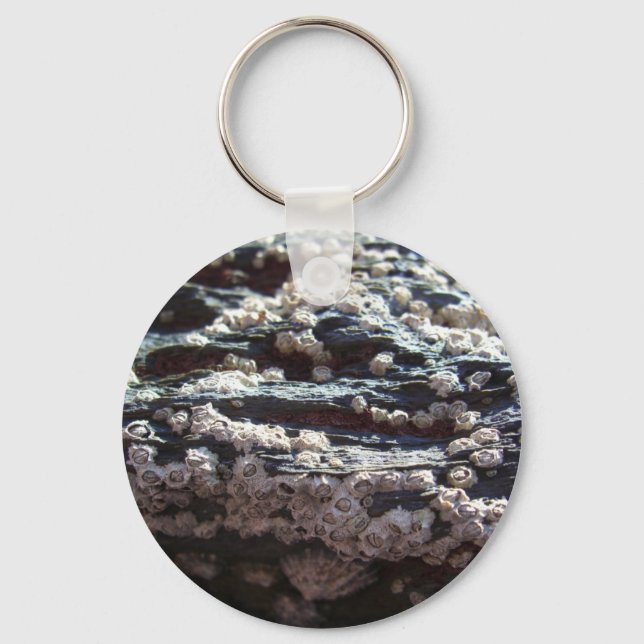 Barnacles 2 key ring (Front)