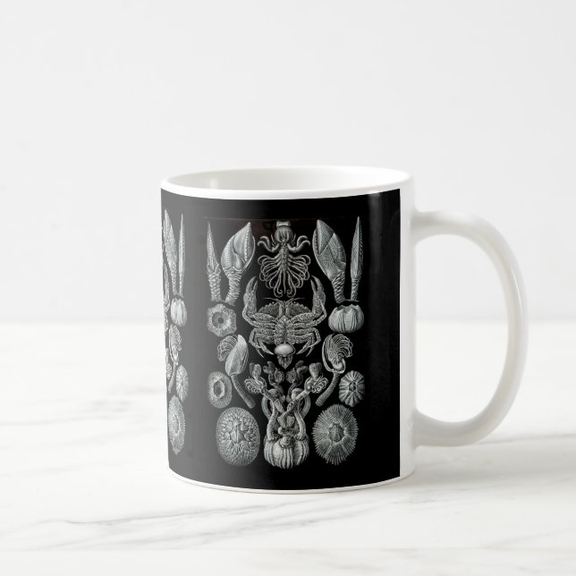 Barnacles Coffee Mug (Right)