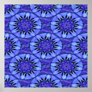 Barnacles en bleu..... poster