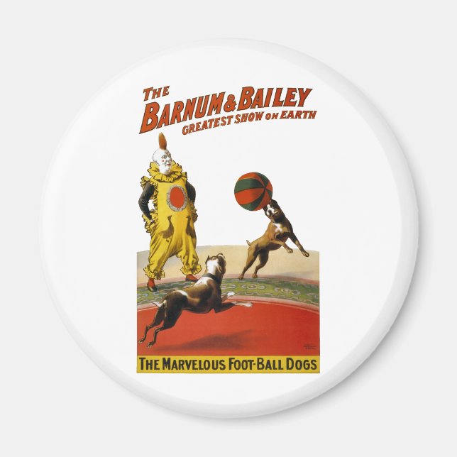 Barnum and Bailey: Football Dogs Magnet (Front)