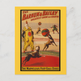 Barnum & Bailey Circus Foot-Ball Dogs Postcard