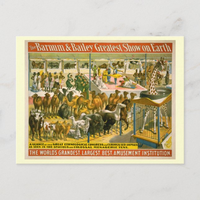 Barnum & Bailey Circus Poster Postcard (Front)