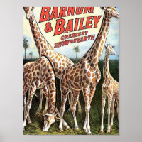 Barnum & Bailey Giraffes Retro Theatre