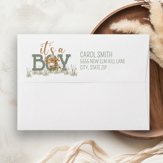 Barnyard Animals Baby Boy Baby Shower Envelope (Baby boy Farm Animal Baby Shower envelope)