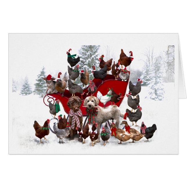 BARNYARD ANIMALS WITH SLEIGH CHRISTMAS CARD (Front Horizontal)