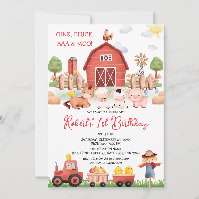 Barnyard Farm Animals Birthday Invitation (Front)