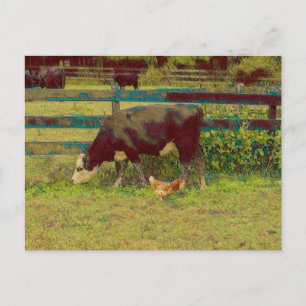Barnyard Friends Cow & Chicken Postcard