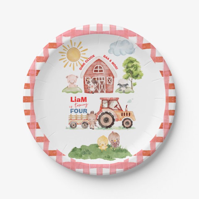 Barnyard Fun Any Age Birthday Paper Plate (Front)