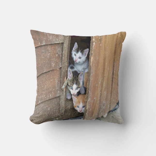 Barnyard Kittens Cushion (Front)