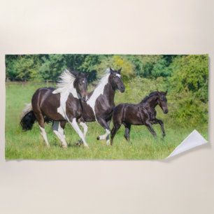 Barock Pinto Horses Herd with Cute Foal Galloping  Beach Towel