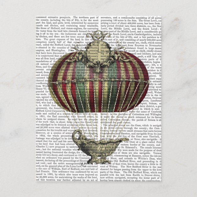 Baroque Fantasy Balloon 4 Postcard (Front)