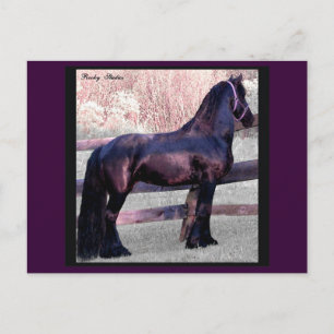 Baroque Horse Postcard, Customisable Postcard