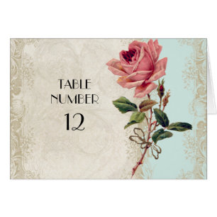 Baroque Style Vintage Rose Aqua n Cream Lace