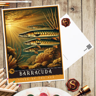 Barracuda   Cute Family Vintage Animal Postcard