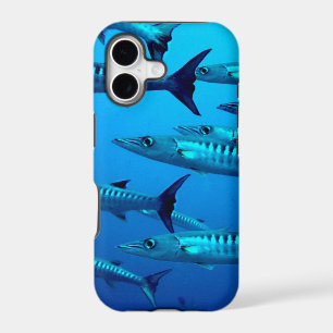 barracuda dive deep sea ocean water tropical wave