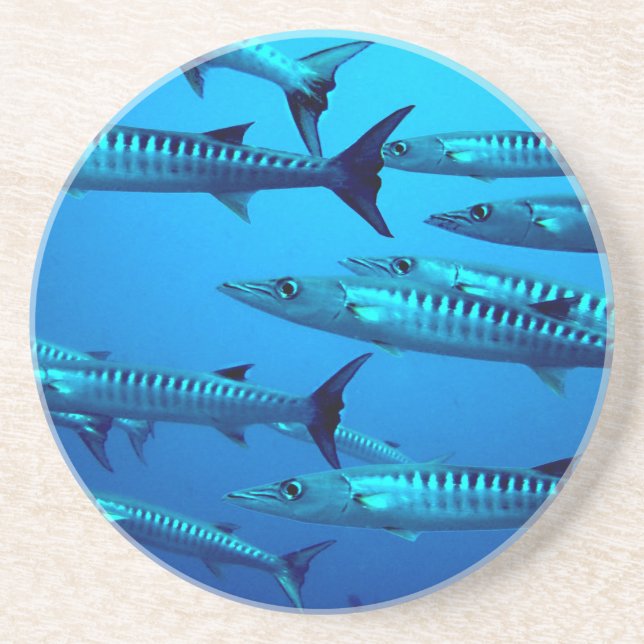 barracuda dive deep sea ocean water tropical wave coaster (Front)